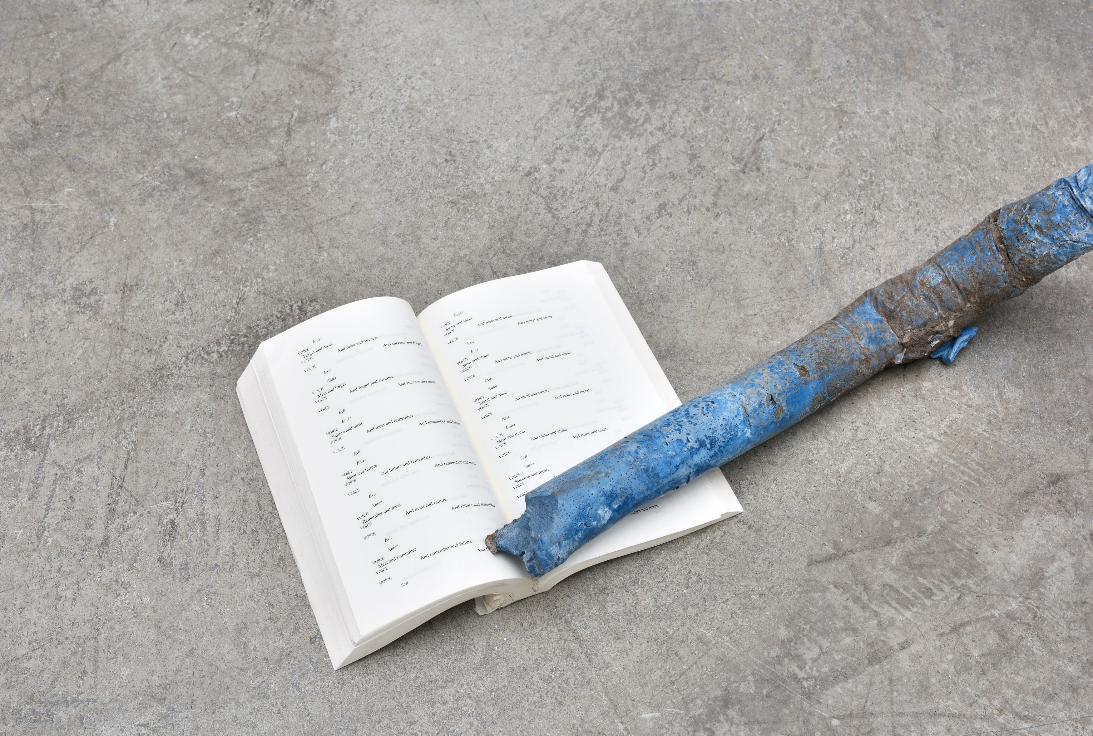 Pure Fiction, Pure Fiction at Marian Goodman Gallery, photo 46