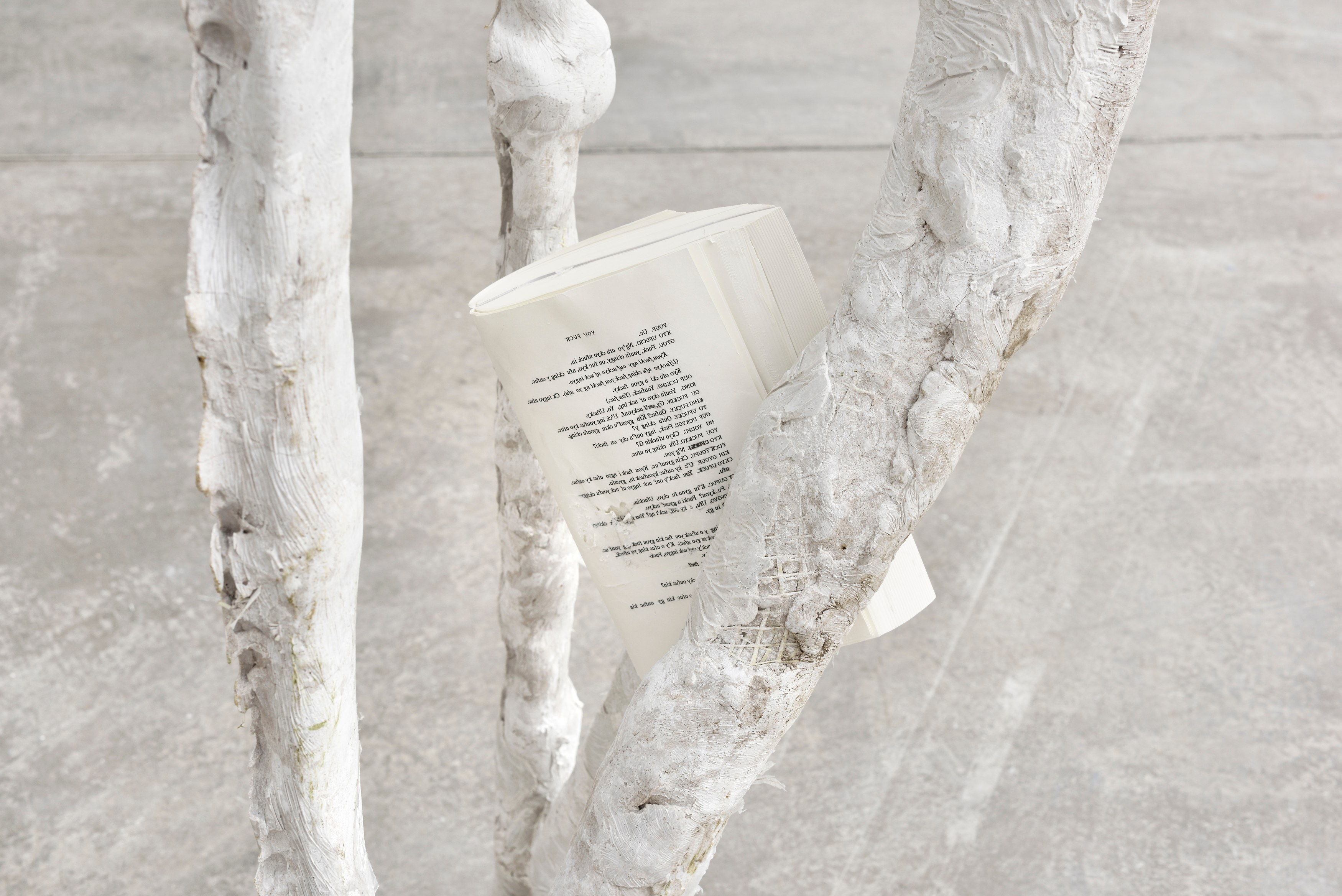 Pure Fiction, Pure Fiction at Marian Goodman Gallery, photo 47
