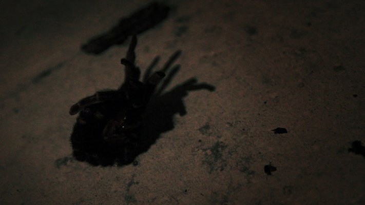 Image 16 of 52