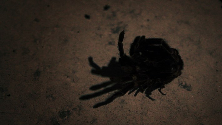 Image 24 of 52