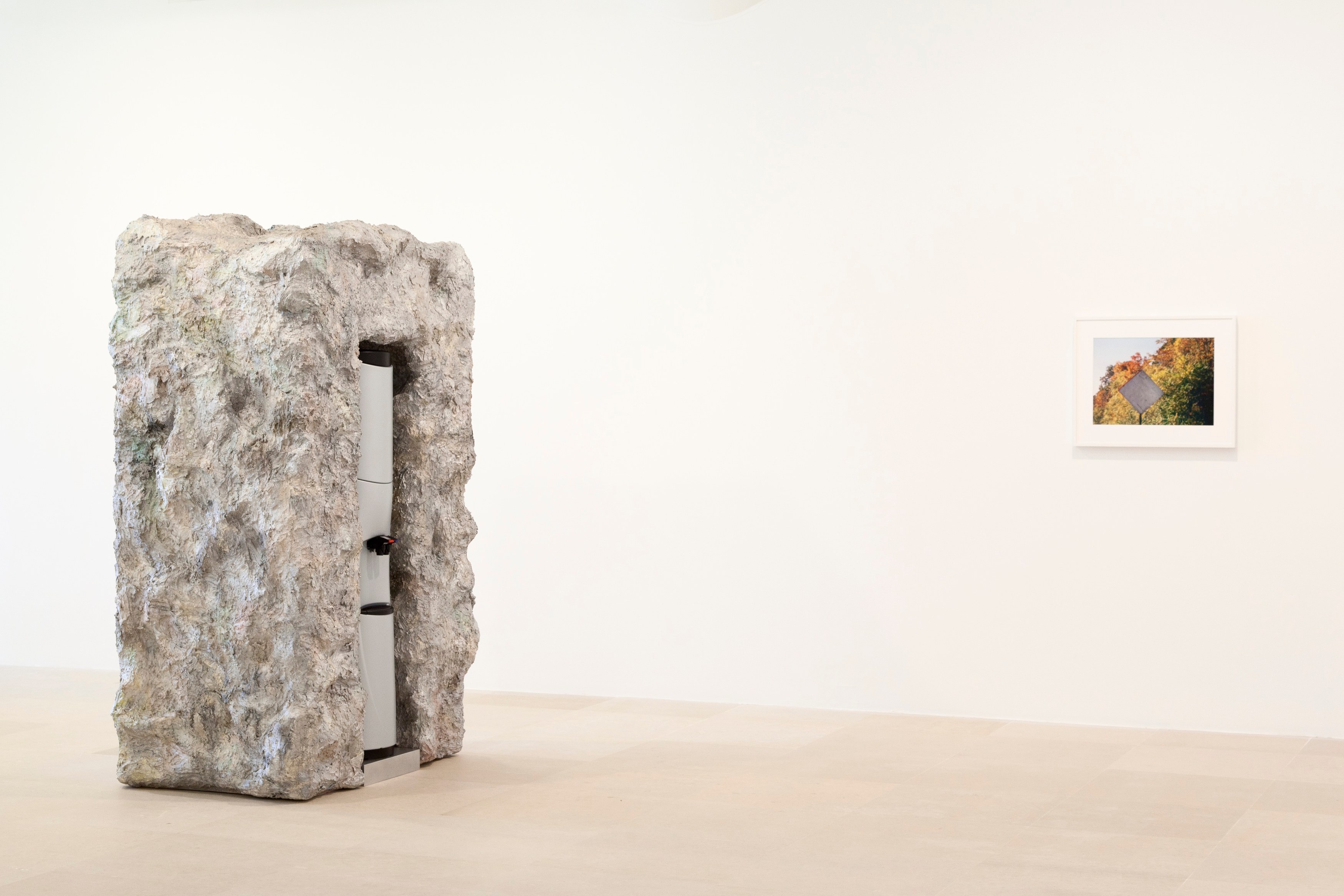 Some Dreamers of the Golden Dream, Some Dreamers of the Golden Dream at Greene Naftali, photo 5