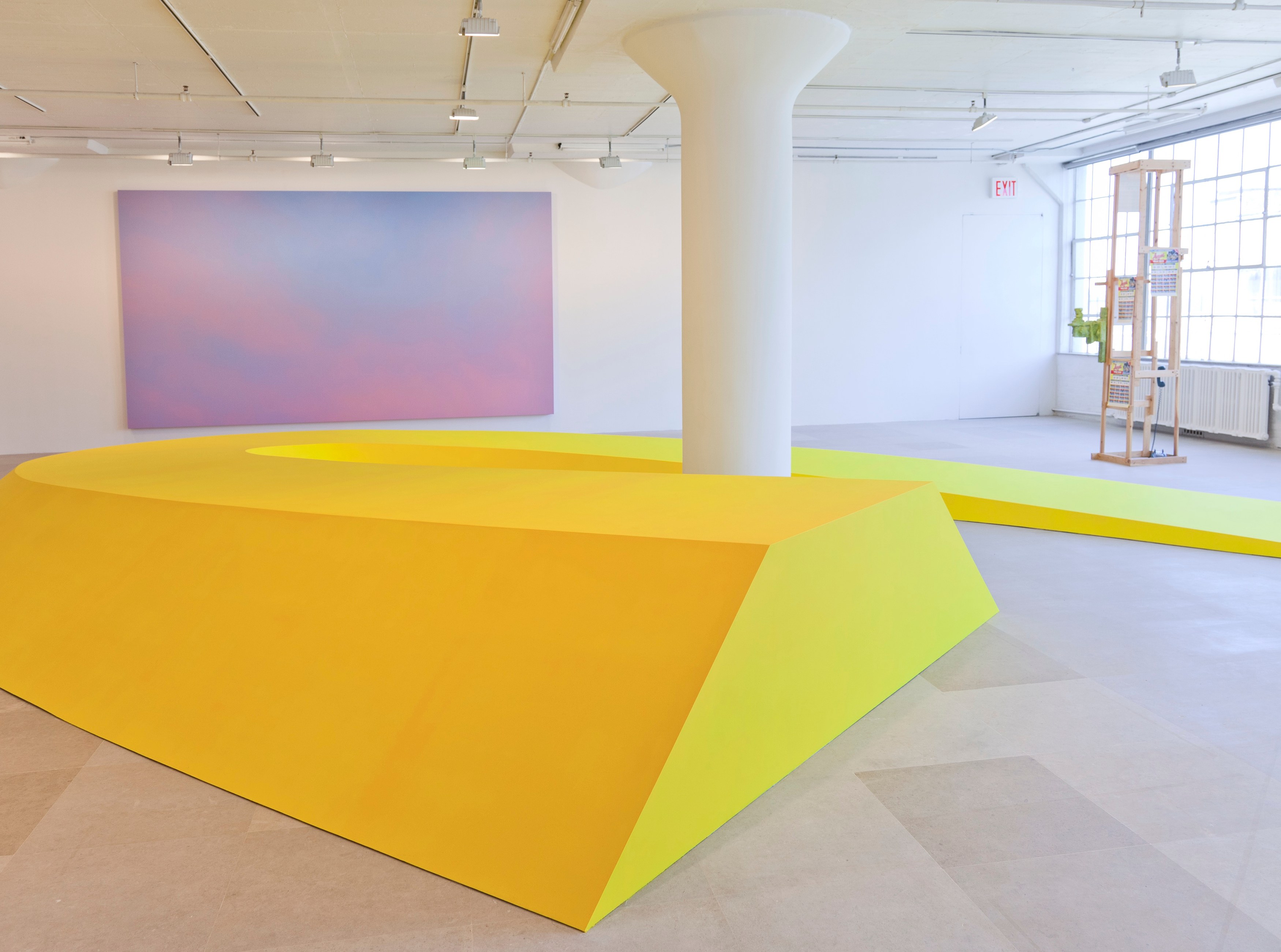 Some Dreamers of the Golden Dream, Some Dreamers of the Golden Dream at Greene Naftali, photo 10