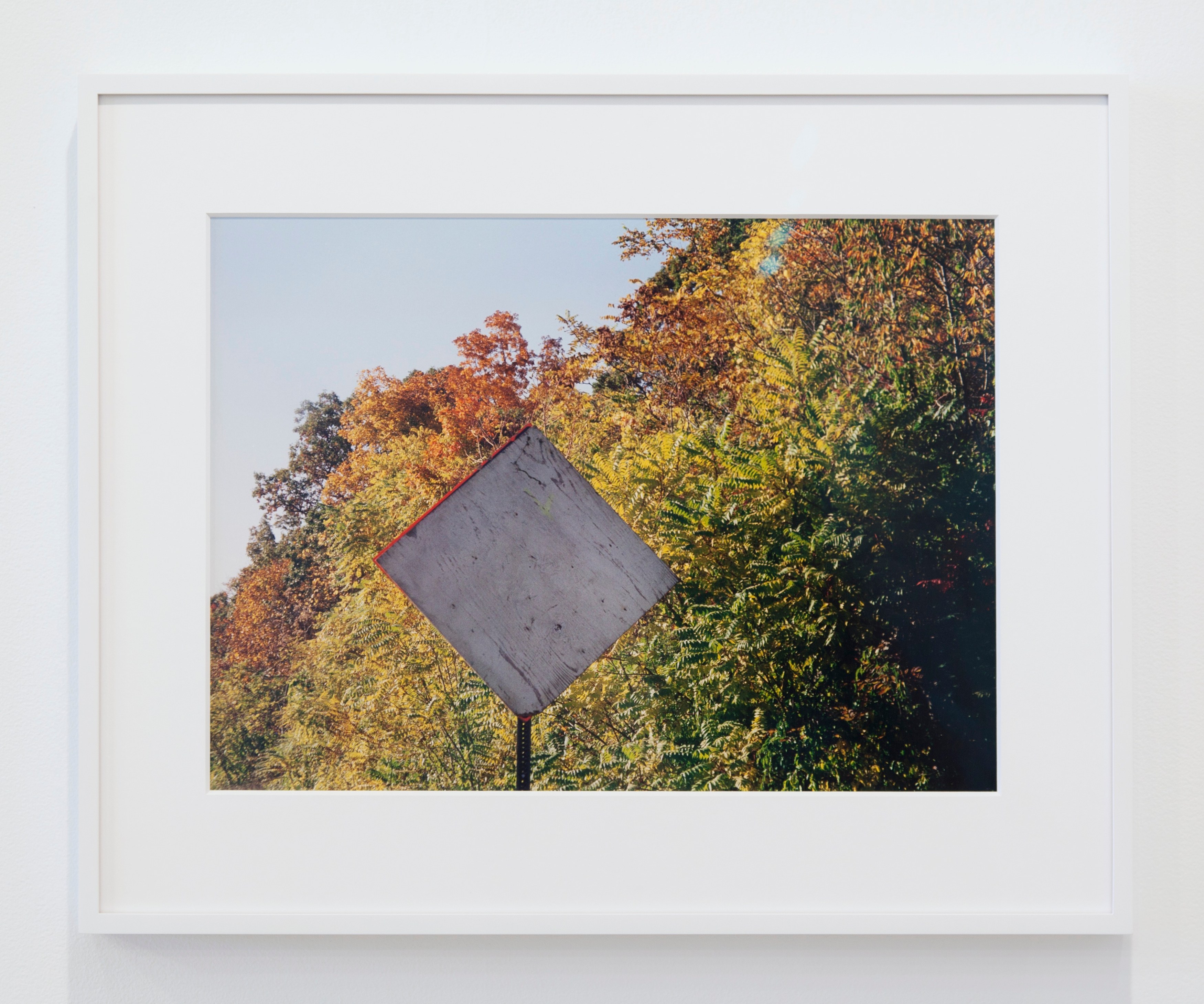 Some Dreamers of the Golden Dream, Some Dreamers of the Golden Dream at Greene Naftali, photo 15
