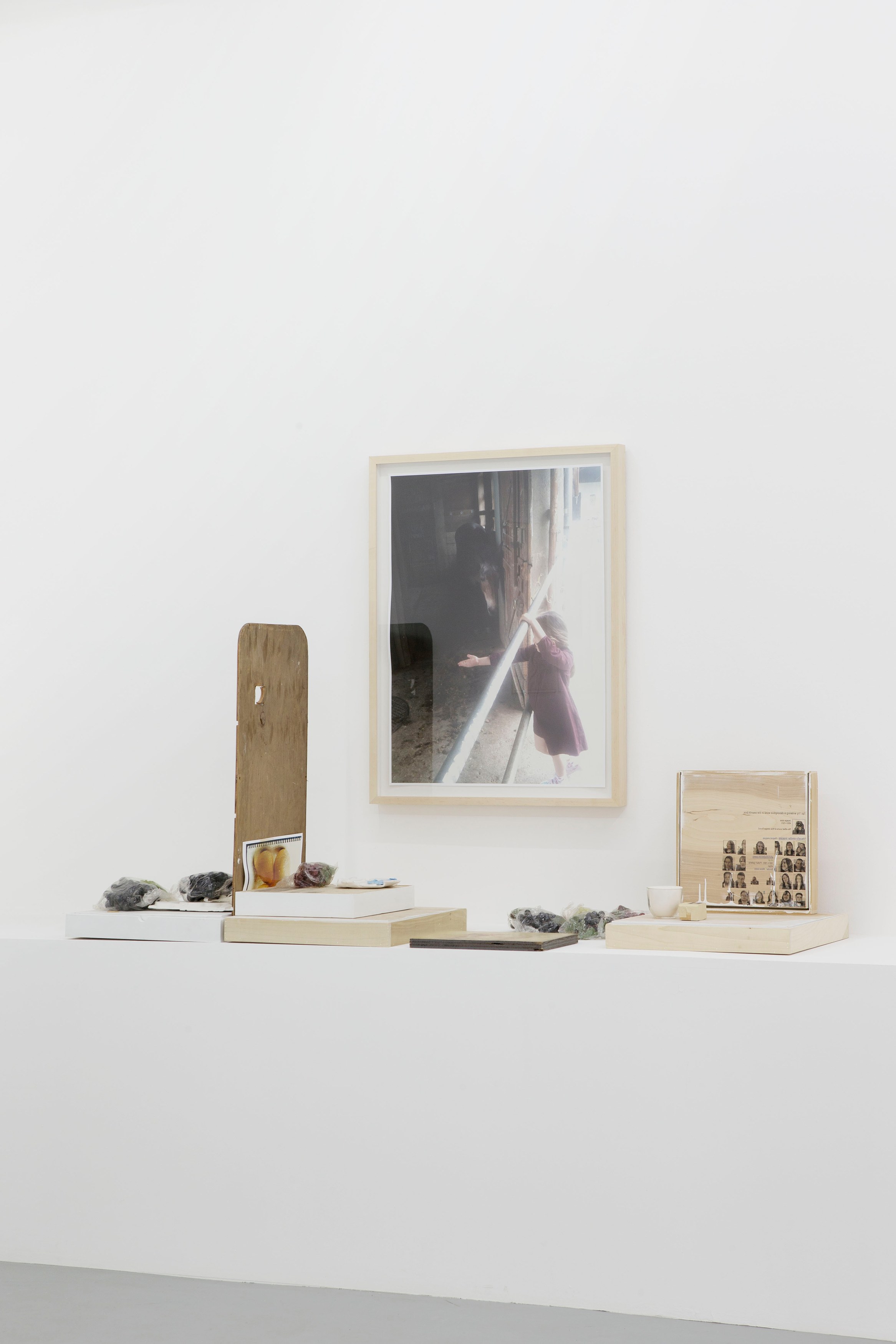 Trust (A Mi Izquierda), Trust (A Mi Izquierda) at Galerie Balice Hertling, photo 17
