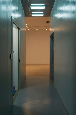 Image 8 of 20
