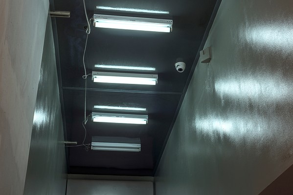 Image 15 of 20