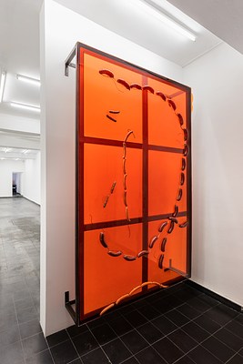 Image 14 of 25