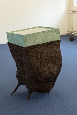 Image 7 of 13