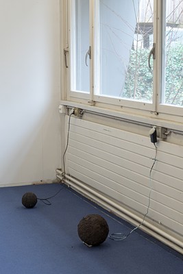 Image 8 of 13