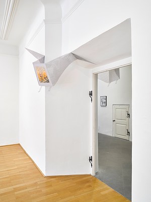 Image 7 of 22