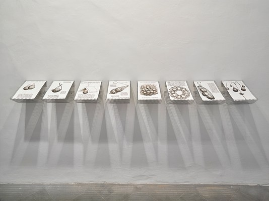 Image 19 of 22