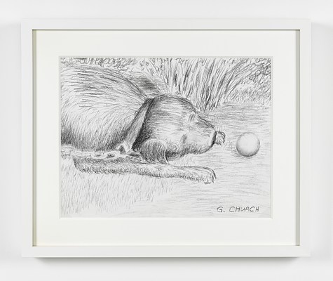 Image 15 of 20