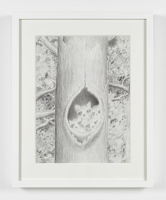 Image 18 of 20