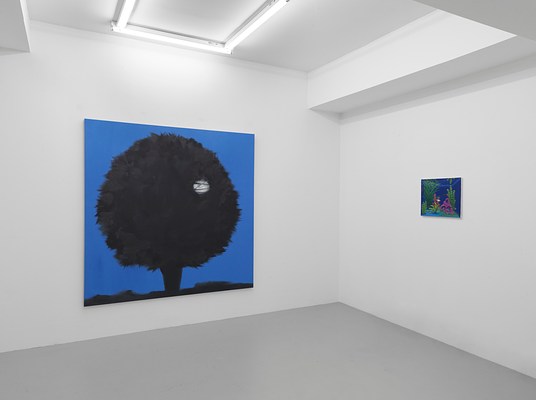 Image 6 of 14
