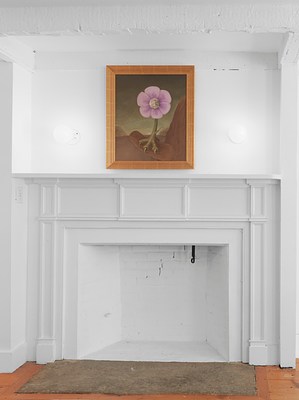 Image 8 of 14