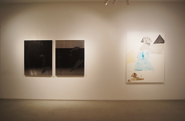 Image 8 of 21