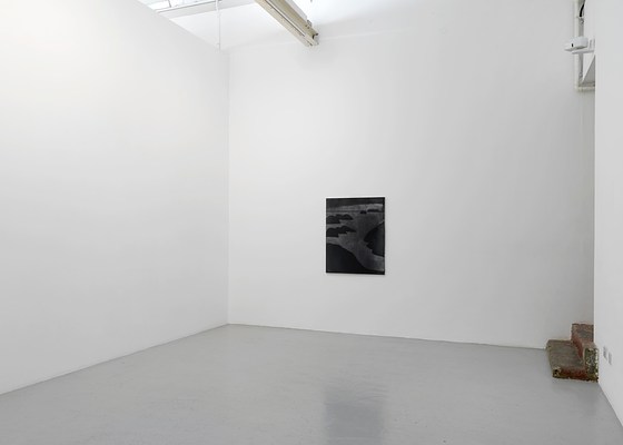 Image 4 of 14