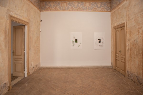 Image 20 of 39