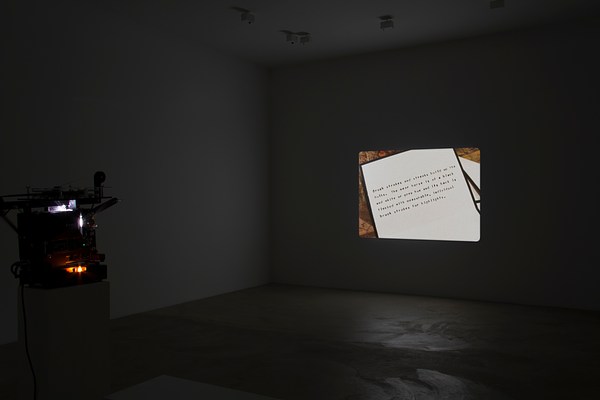 Image 11 of 25
