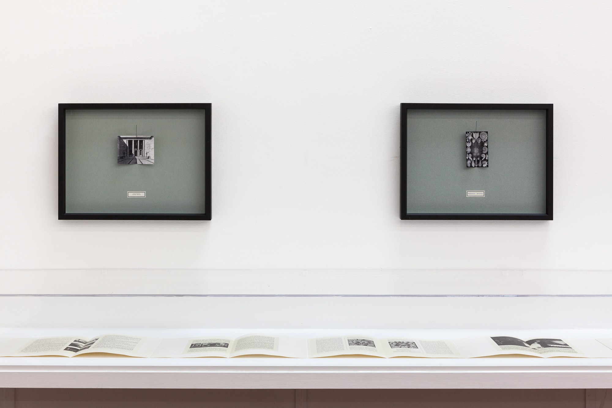 The St. Petersburg Paradox, The St. Petersburg Paradox at Swiss Institute, photo 42
