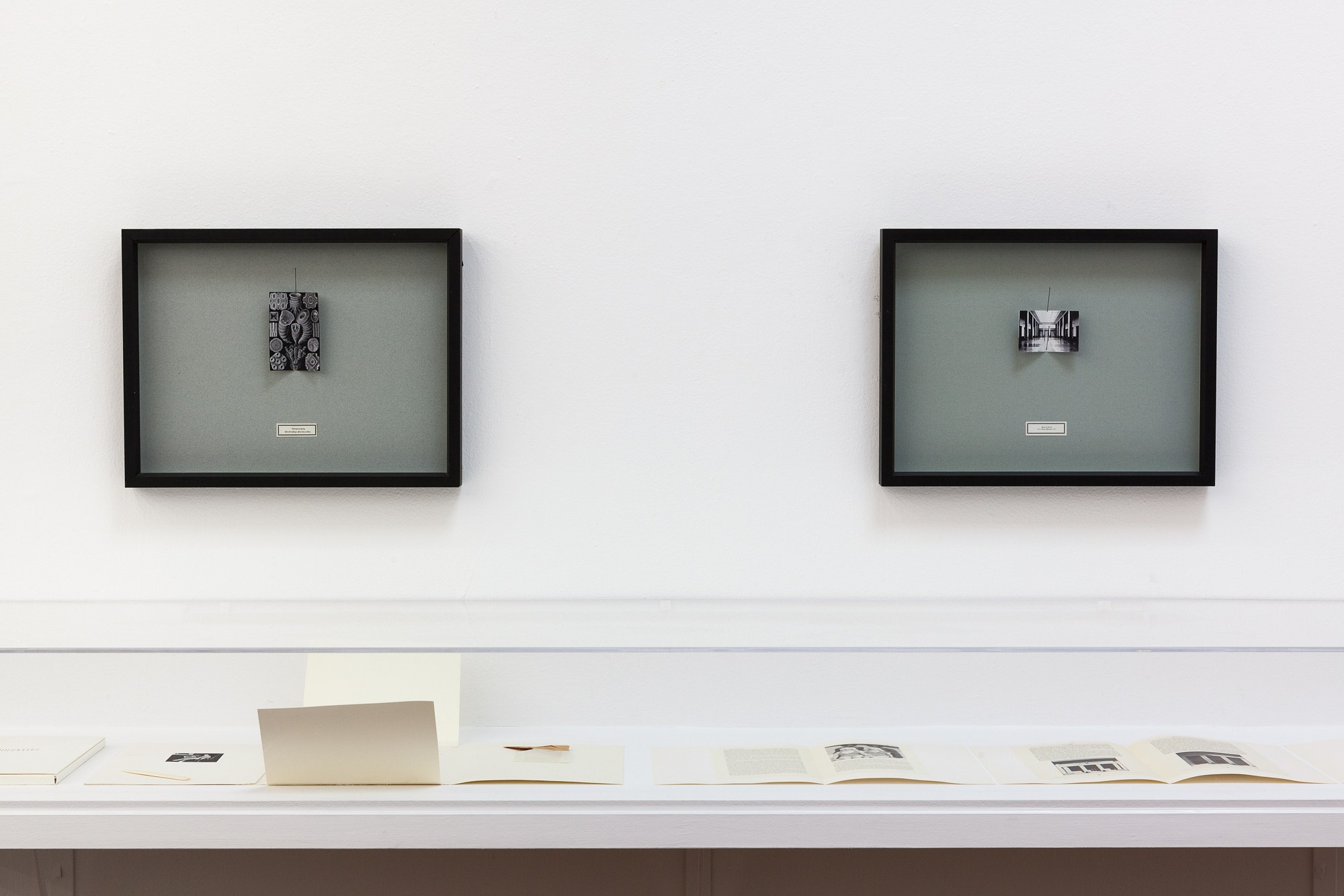The St. Petersburg Paradox, The St. Petersburg Paradox at Swiss Institute, photo 43