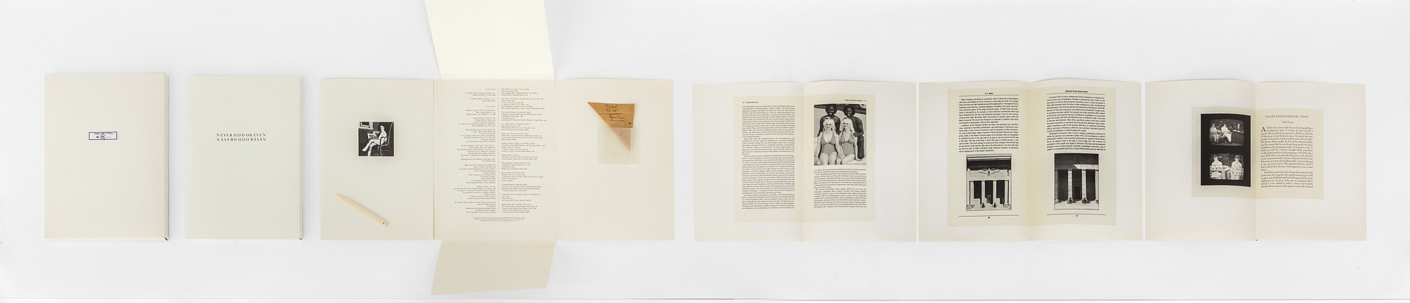 The St. Petersburg Paradox, The St. Petersburg Paradox at Swiss Institute, photo 49