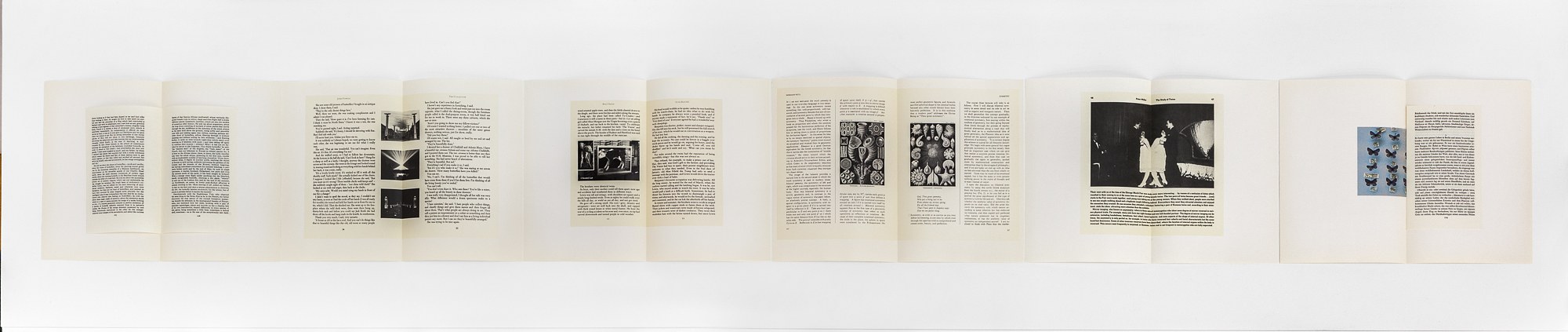 The St. Petersburg Paradox, The St. Petersburg Paradox at Swiss Institute, photo 50