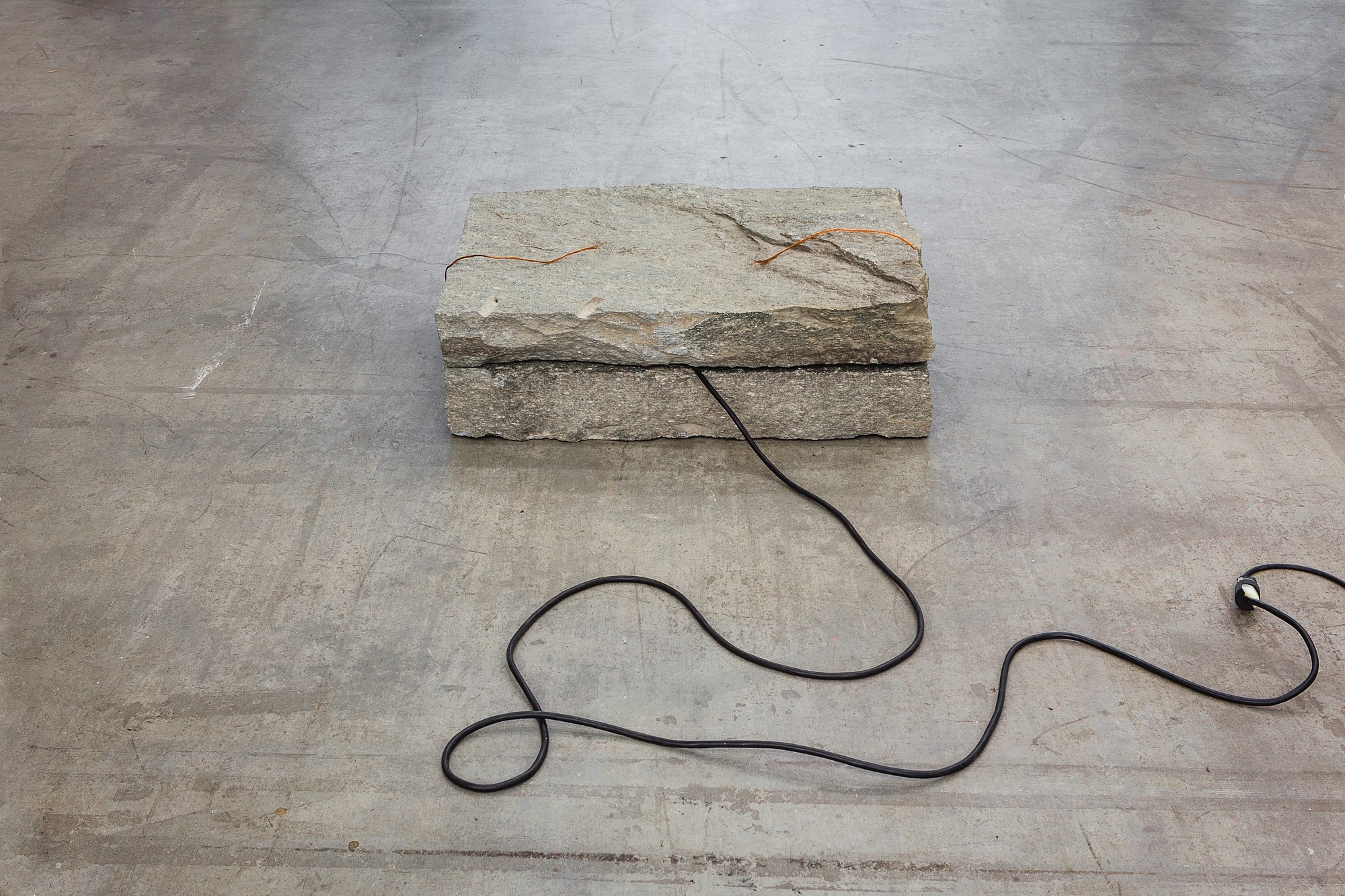 The St. Petersburg Paradox, The St. Petersburg Paradox at Swiss Institute, photo 17