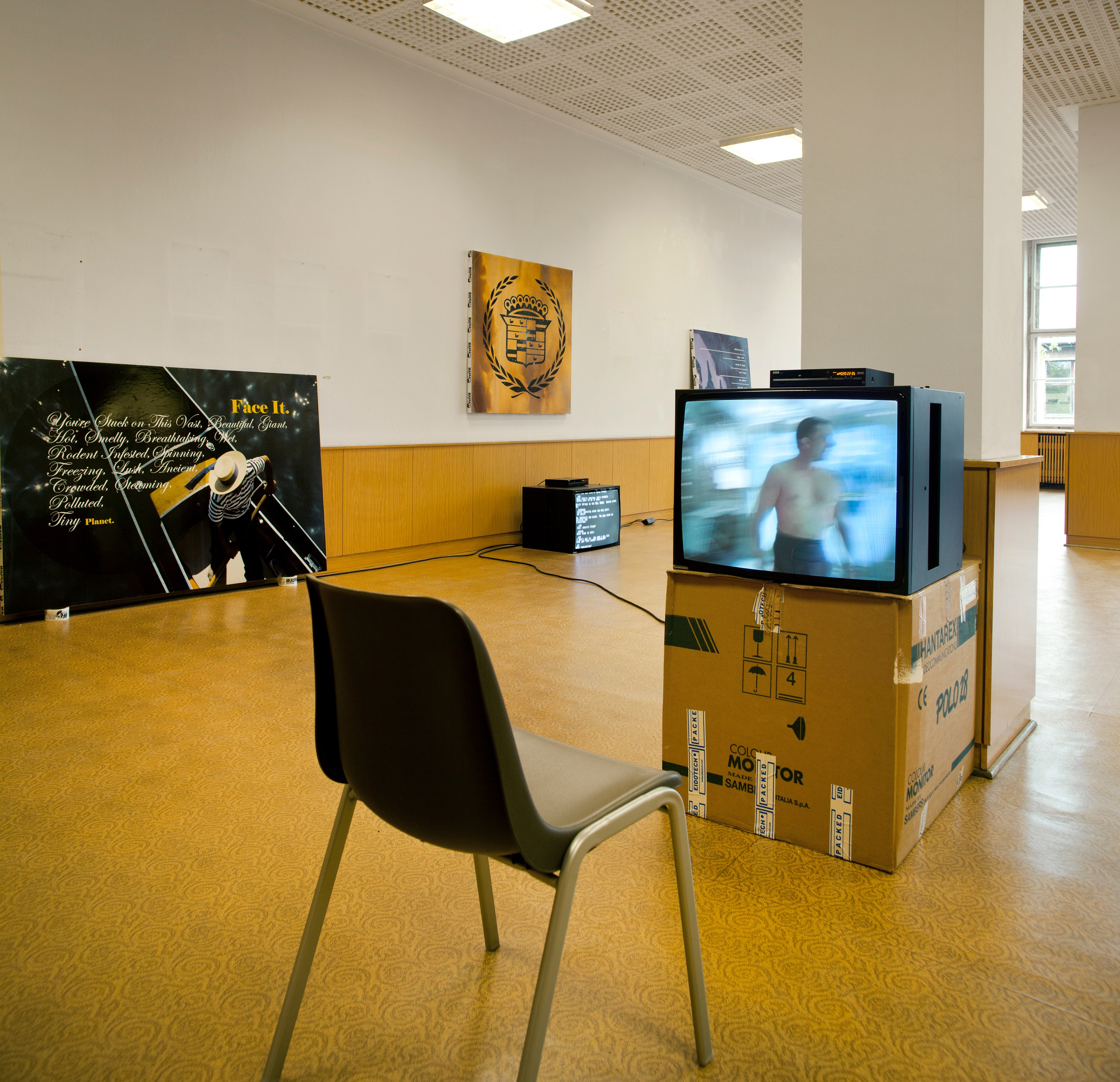 bald eagle, bald eagle at Sammlung Haubrok and Paris Bar, Berlin, photo 6