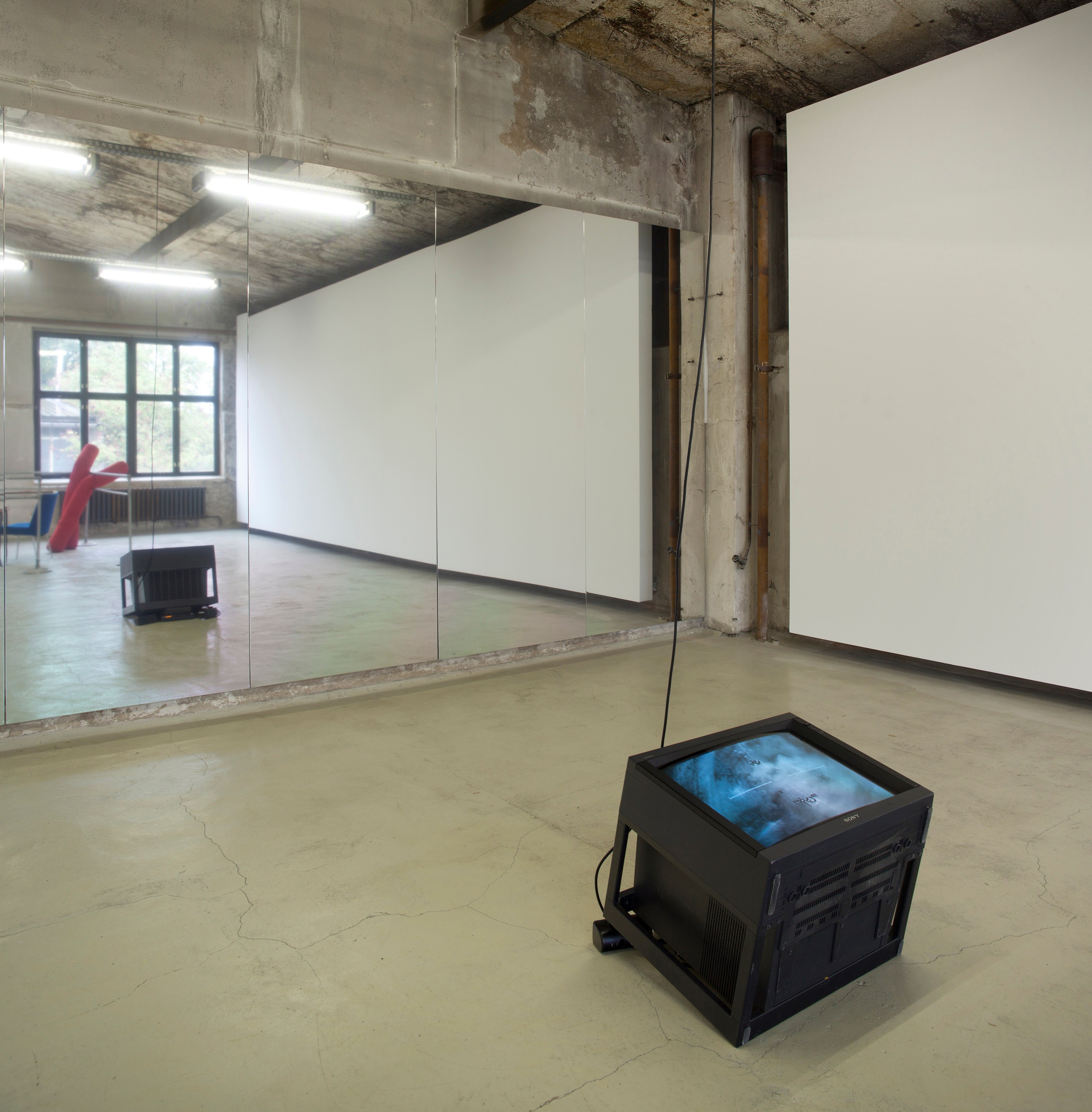 bald eagle, bald eagle at Sammlung Haubrok and Paris Bar, Berlin, photo 12