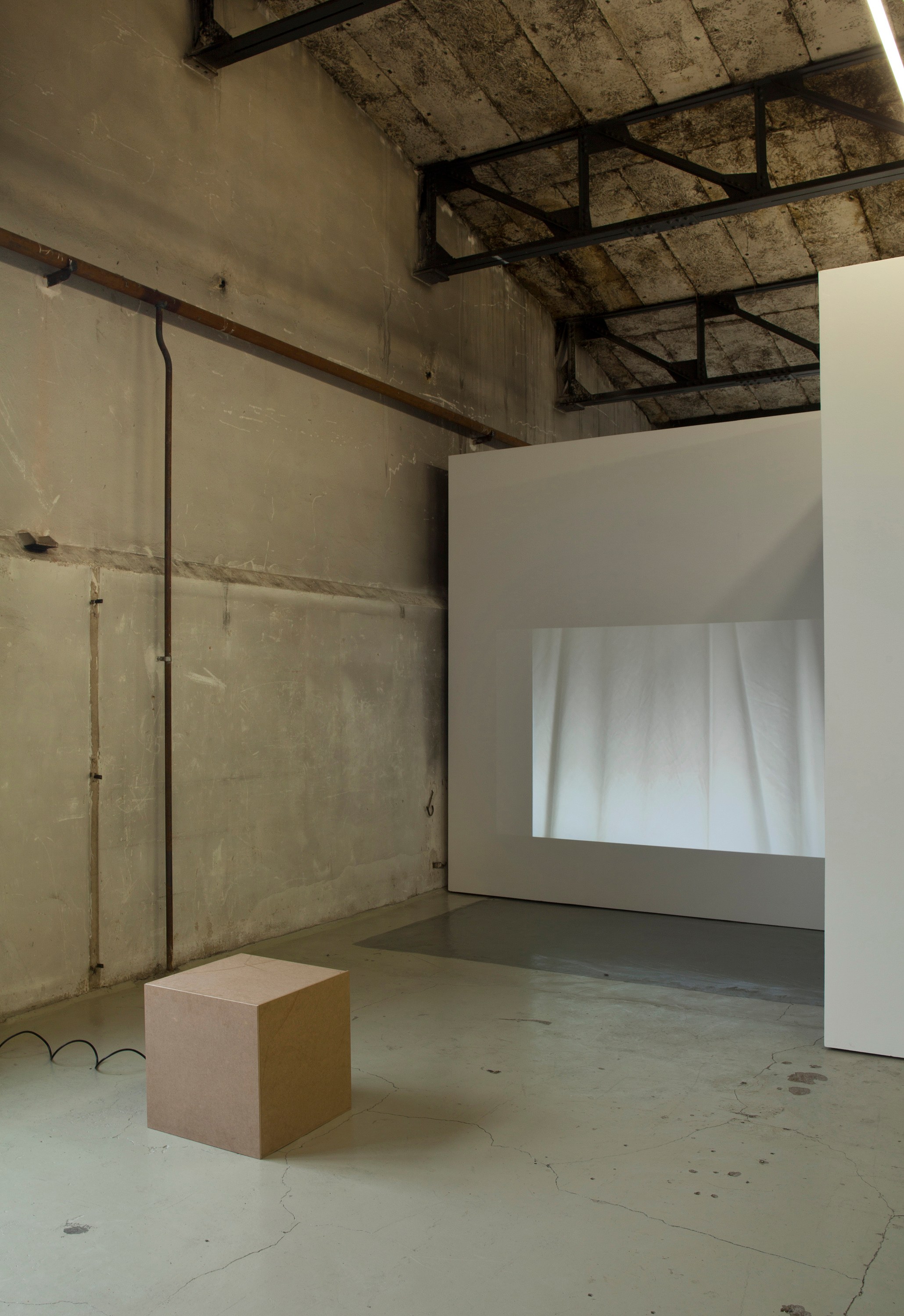 bald eagle, bald eagle at Sammlung Haubrok and Paris Bar, Berlin, photo 15