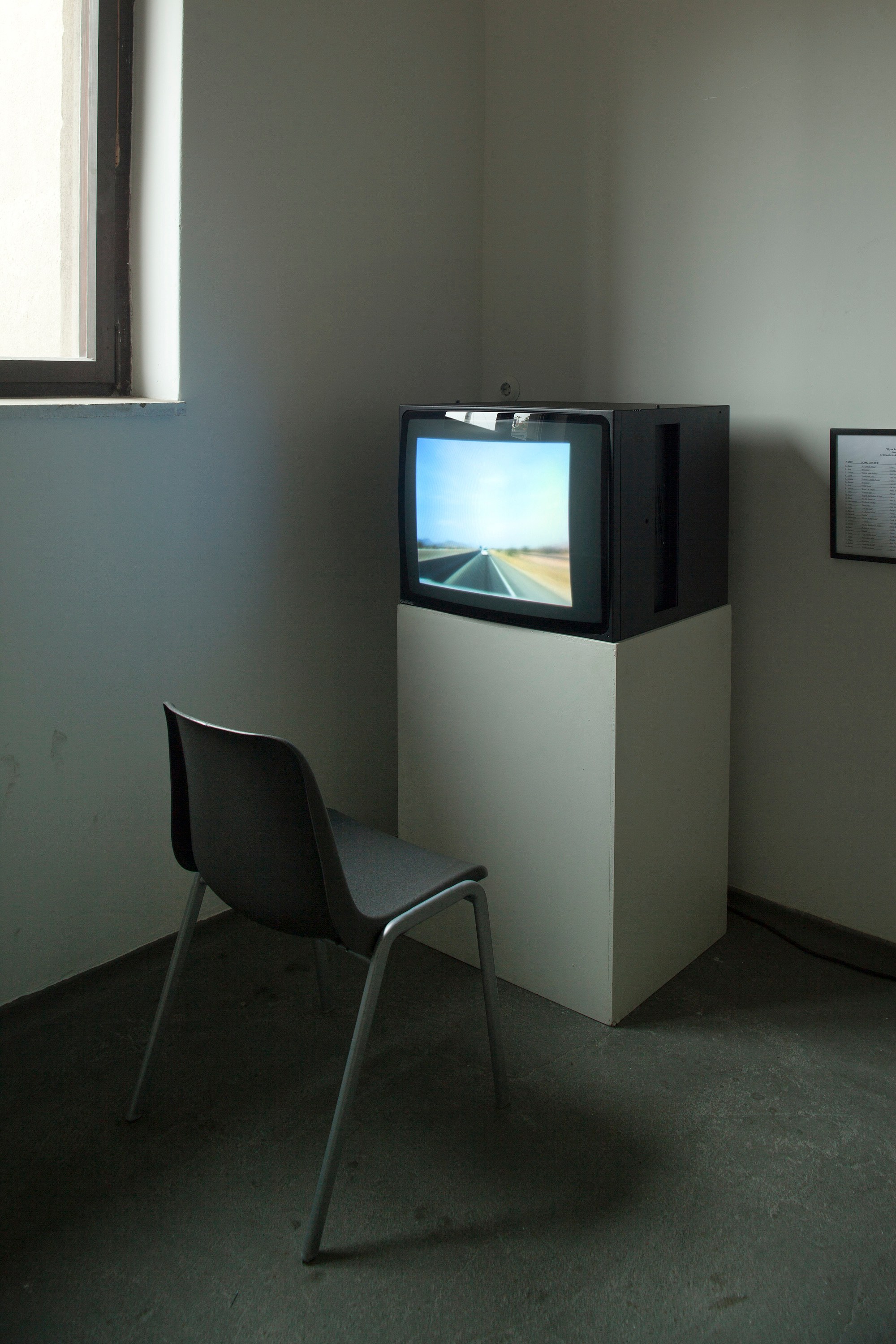 bald eagle, bald eagle at Sammlung Haubrok and Paris Bar, Berlin, photo 19