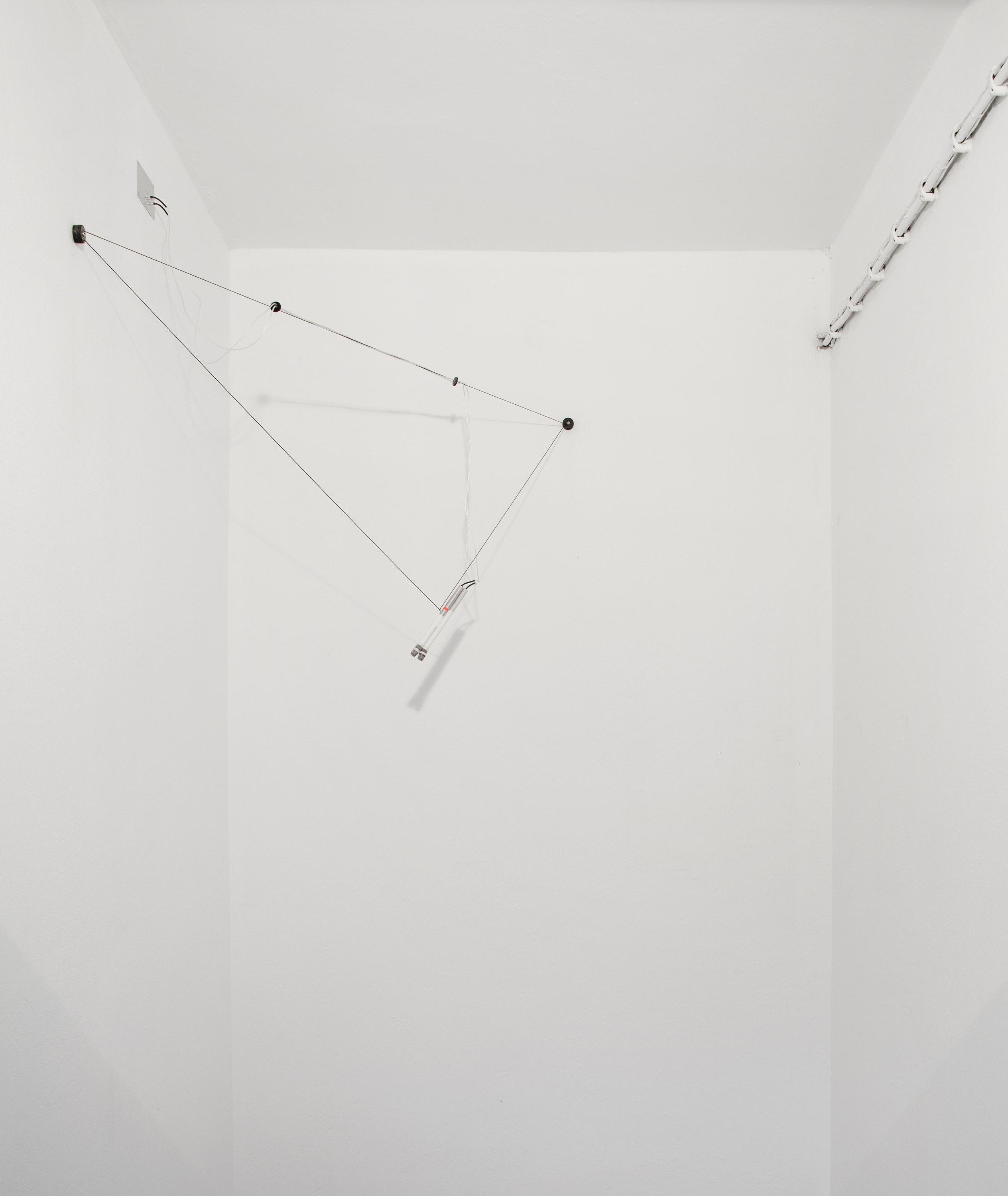 bald eagle, bald eagle at Sammlung Haubrok and Paris Bar, Berlin, photo 21