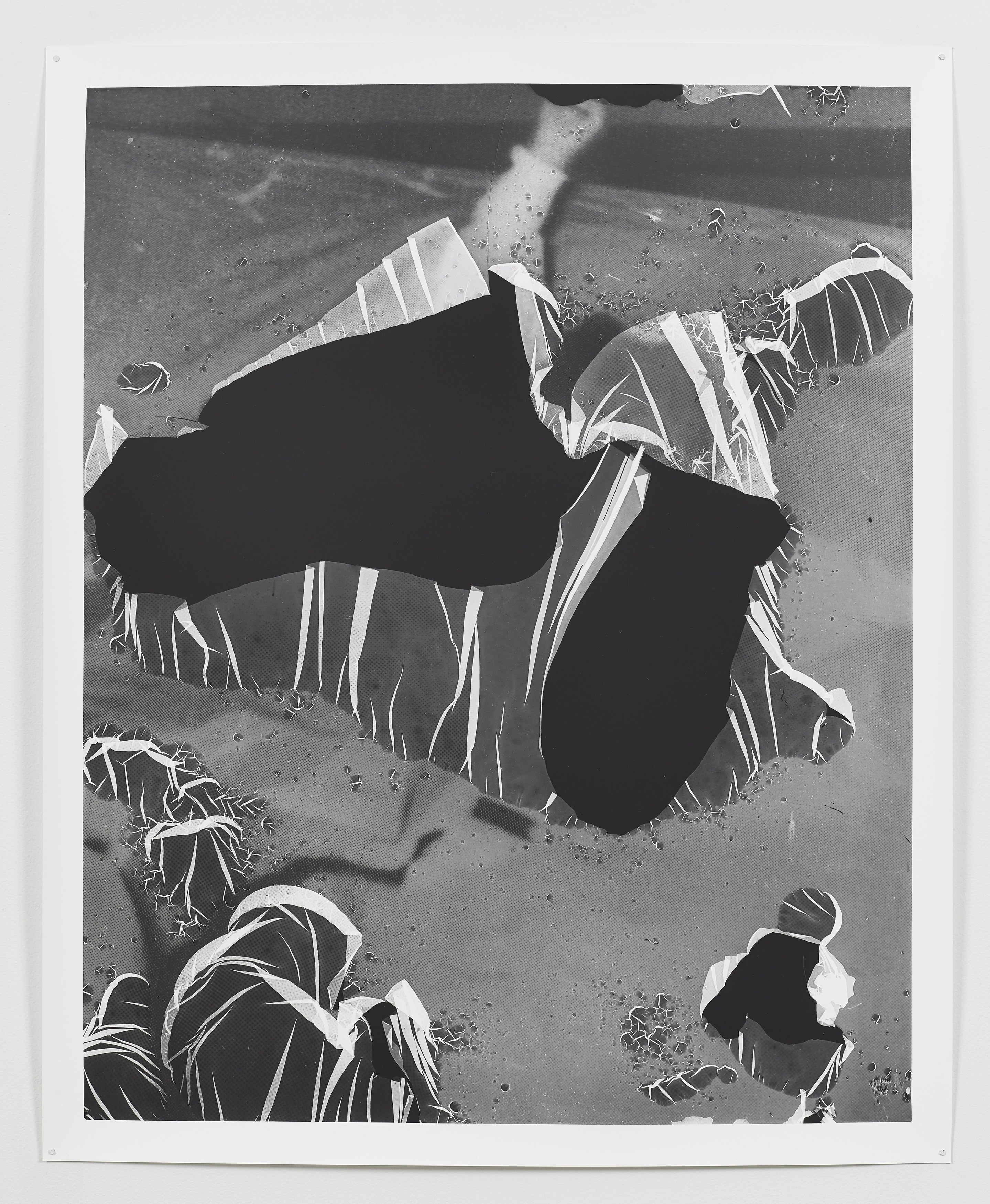 Eileen Quinlan, Curtains at Miguel Abreu, New York (88 Eldridge Street, 36 Orchard Street), photo 14