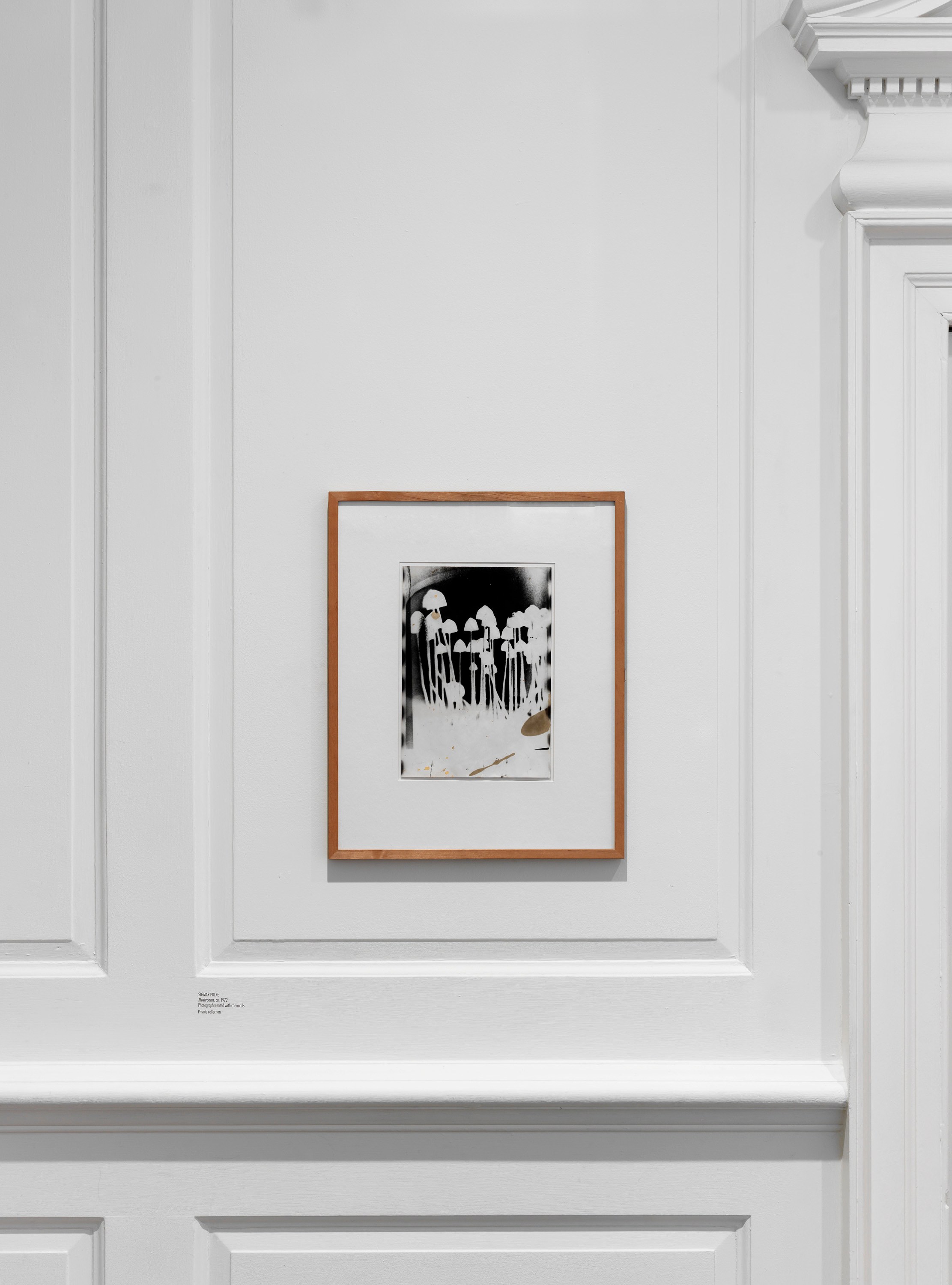 Reflections from Damaged Life, Reflections from Damaged Life at Raven Row, photo 10