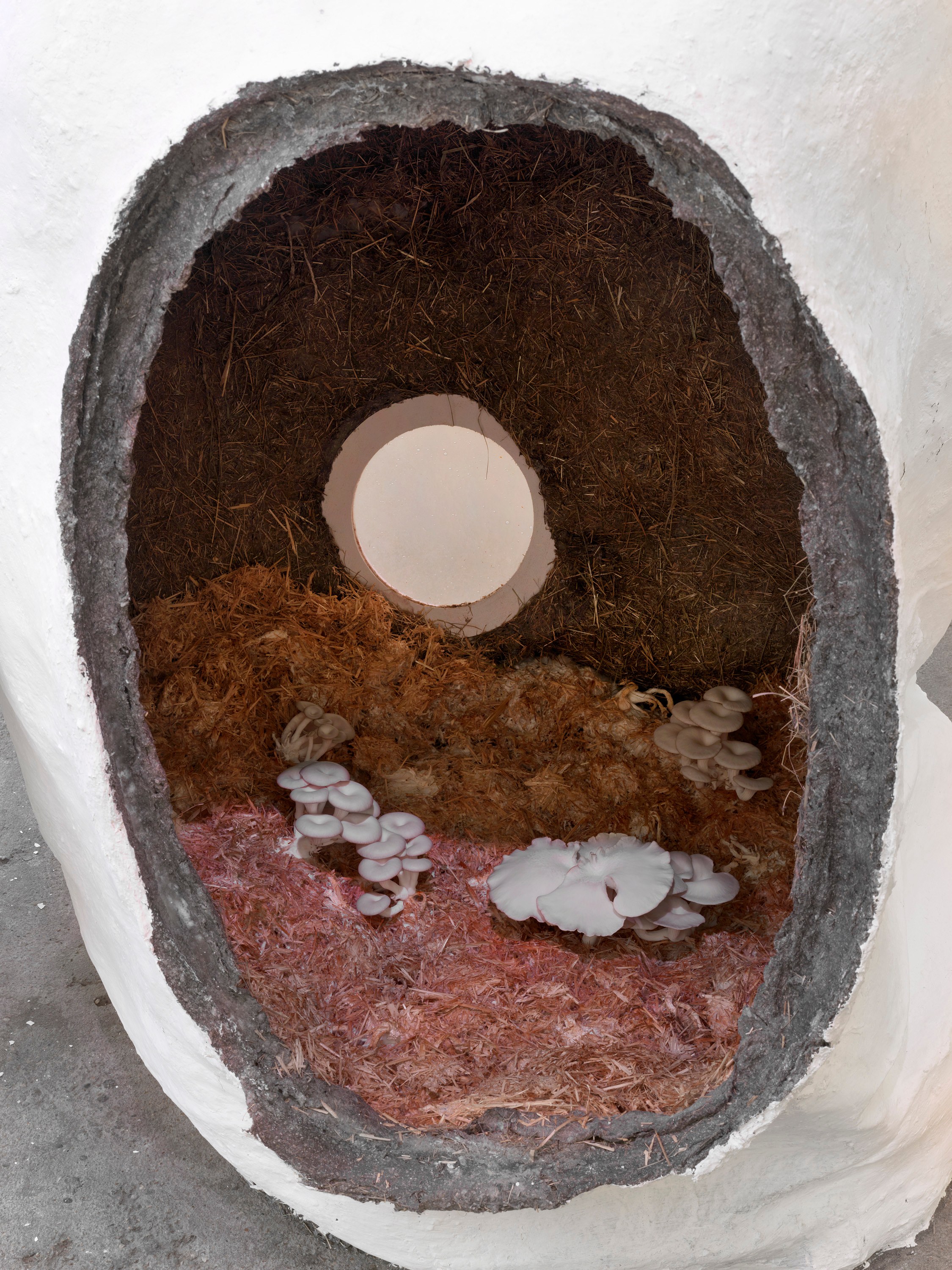 Reflections from Damaged Life, Reflections from Damaged Life at Raven Row, photo 19