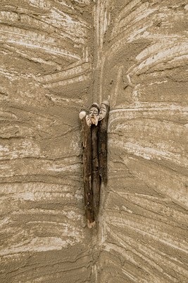 Image 5 of 7