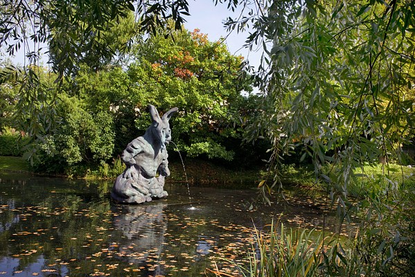 Image 11 of 21