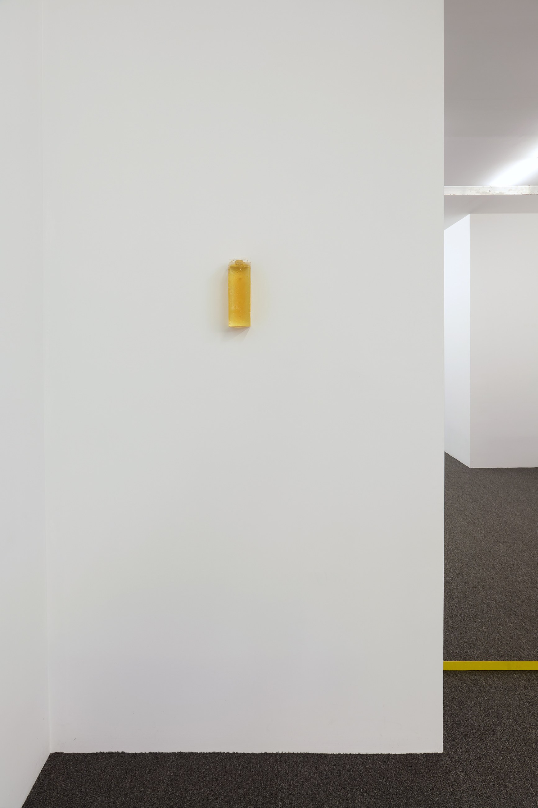 Henrik Olesen, Untitled at Galerie Buchholz, Berlin, photo 46