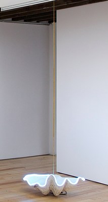 Image 7 of 17