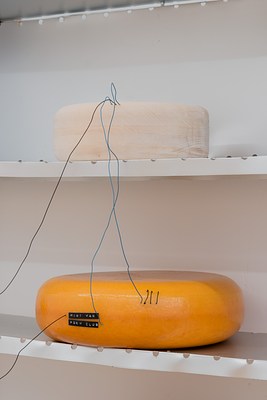 Image 7 of 15