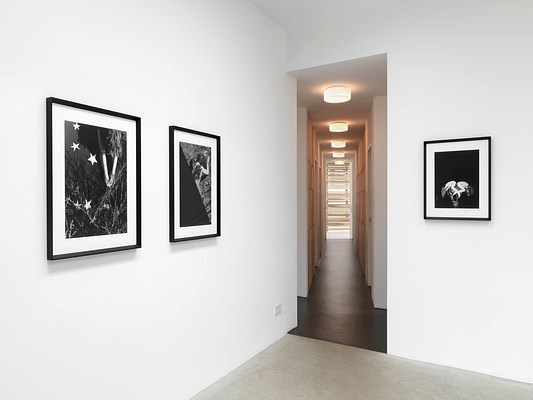 Image 1 of 16