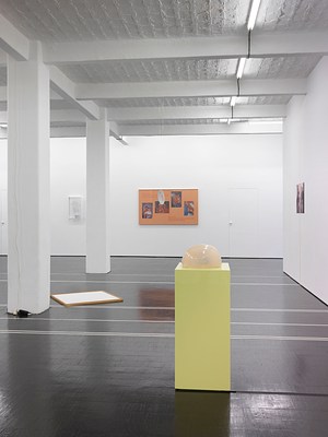 Image 5 of 16