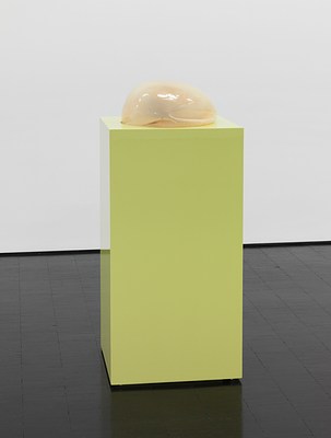 Image 6 of 16
