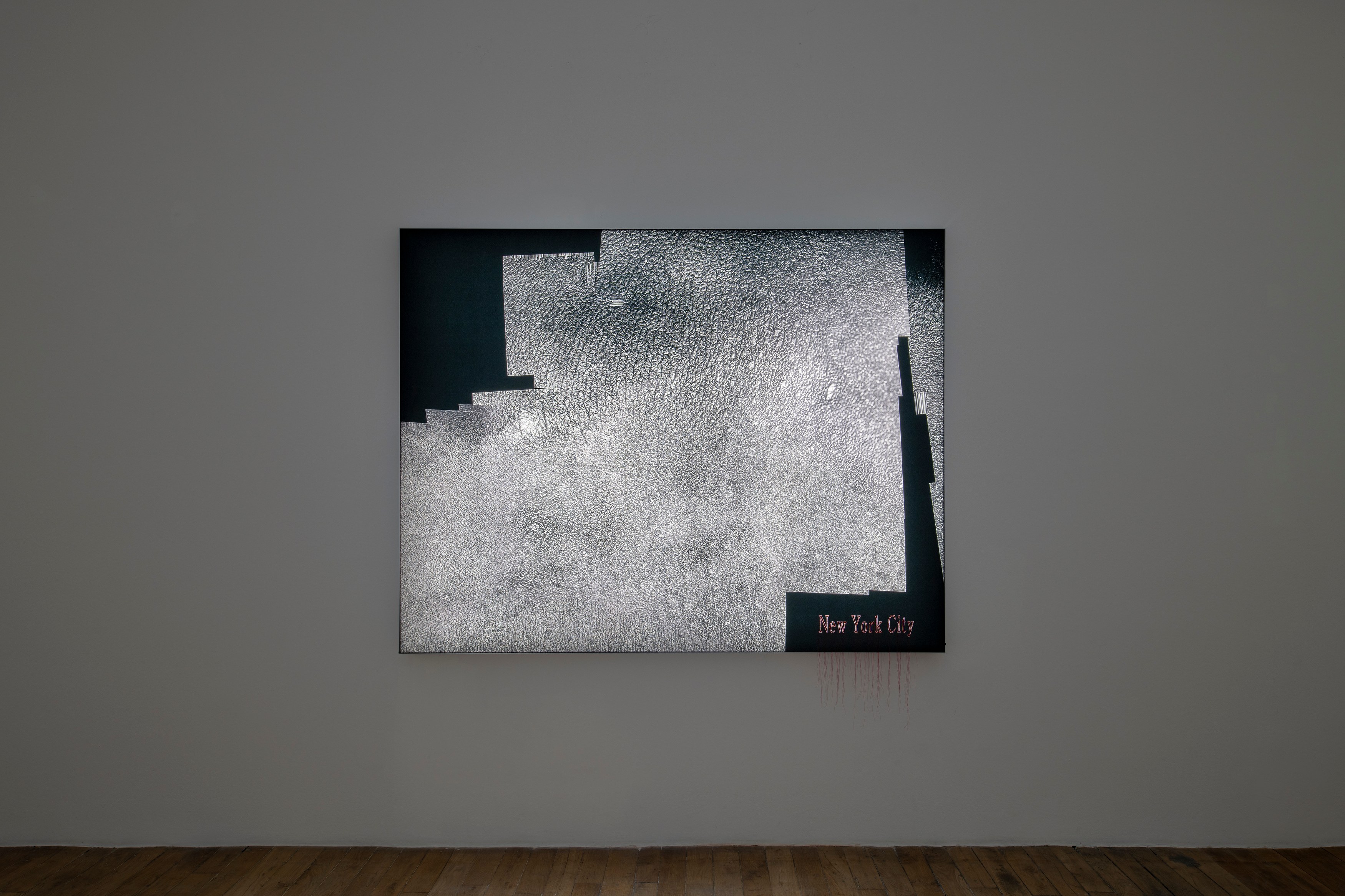 Seth Price, Self as Tube at Galerie Chantal Crousel, photo 5