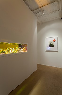 Image 3 of 21