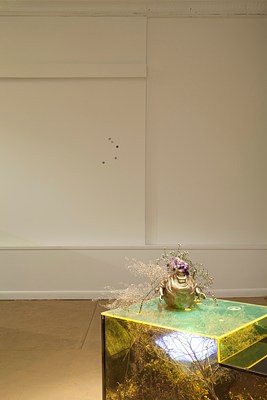 Image 4 of 21