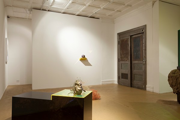Image 7 of 21
