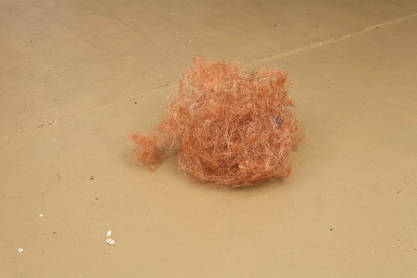 Image 10 of 21