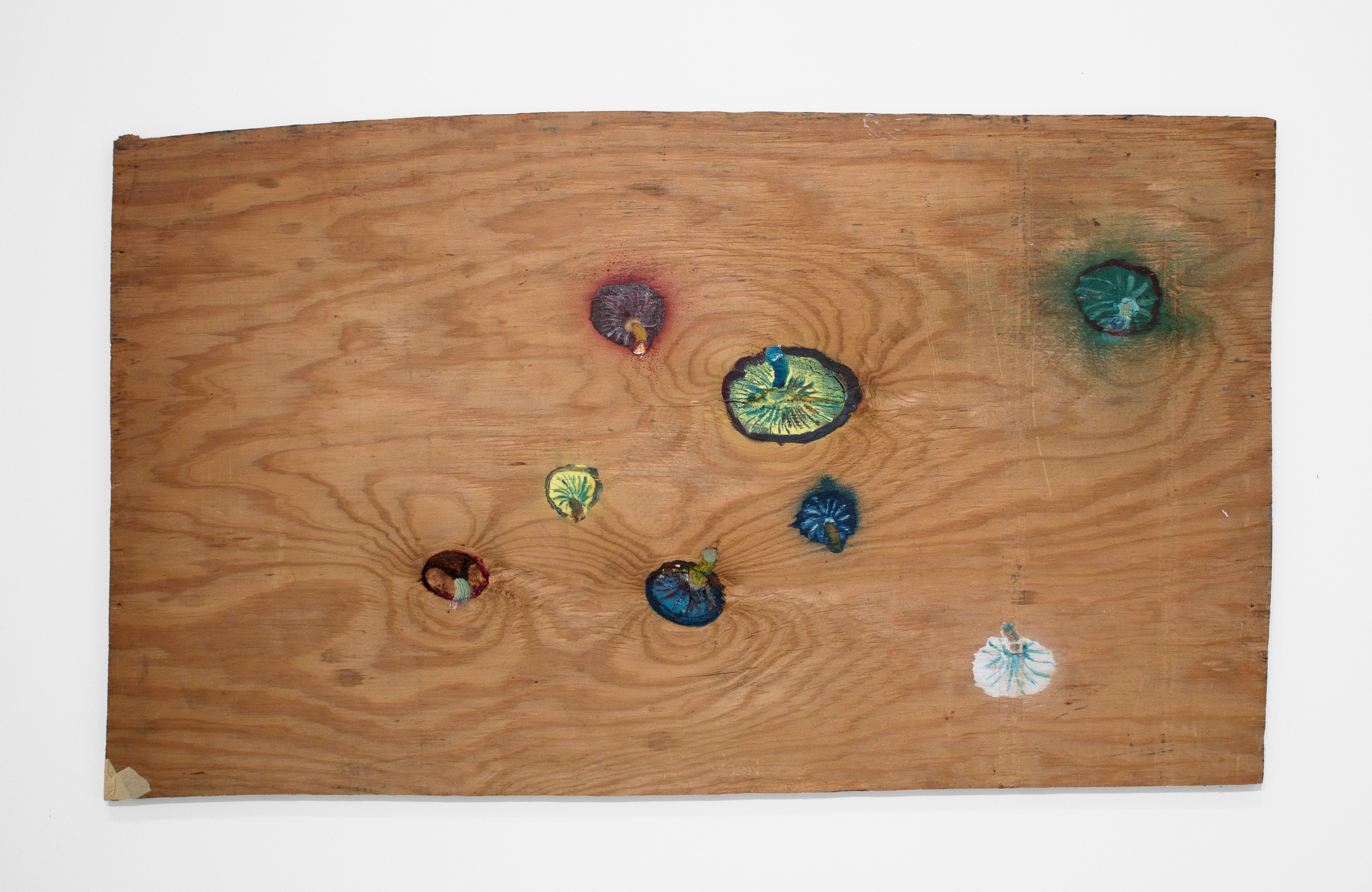 Bill Lynch, Untitled at White Columns, photo 58